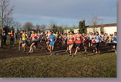 Begles 15.12.13 01 1009 * 679 x 453 * (154KB)